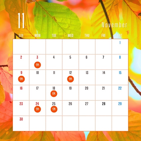 11月の営業日